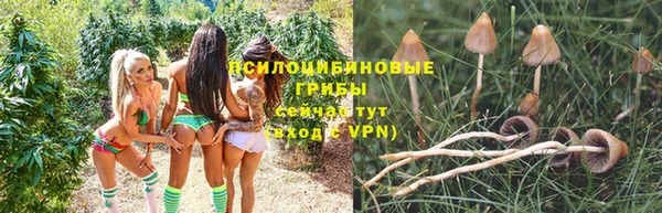 прущий лед Волосово