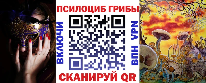 Псилоцибиновые грибы мицелий  блэк спрут как зайти  Магнитогорск 